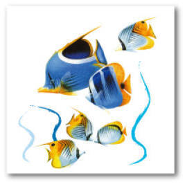 Decorative Sticker (Sticker décoratif)