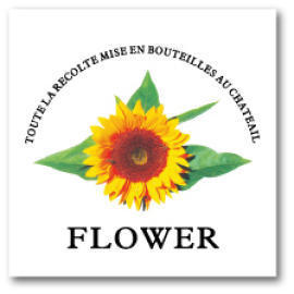 Decorative Sticker (Decorative Sticker)