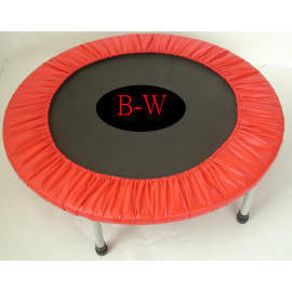 TRAMPOLINE (TRAMPOLINE)