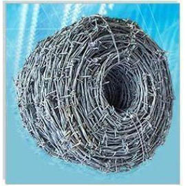 Barbed wire (Fil de fer barbelé)