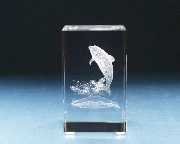 Internal Laser Image Crystal-1 (Interne Laser Image Crystal-1)