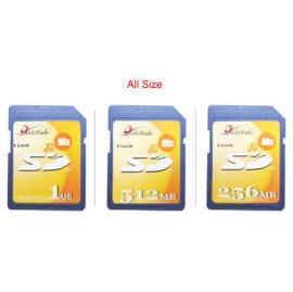 Flash Memory Card (Flash-Speicherkarten)