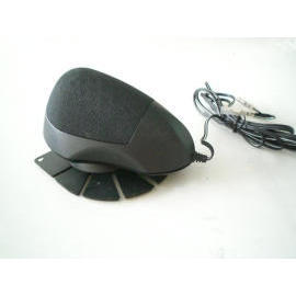 car speaker (car speaker)