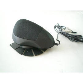 car speaker