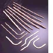Heat Pipe (Тепловые трубки)