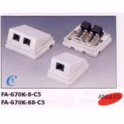 FA-670-8/88-C5 Oberflächenmontage Box (FA-670-8/88-C5 Oberflächenmontage Box)