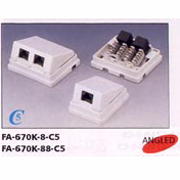 FA-670-8/88-C5 Surface Mount Box (FA-670-8/88-C5 поверхностного монтажа Box)