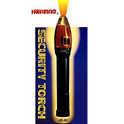 Security Torch