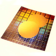 Silicon Epitaxial Wafer without Buried Layer (Кремний Эпитаксиальный вафельных без захороненный слой)