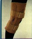 Hinged Knee Support