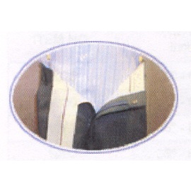 Gewebte Einlagen Taschendiebstahl (Gewebte Einlagen Taschendiebstahl)