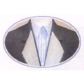 Gewebte Einlagen für Hemd, Jacke (Gewebte Einlagen für Hemd, Jacke)