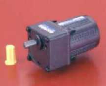 Gear Motor (Gear Motor)