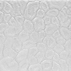 Patterned Polystyrene Panels PS for Shower Door / Cabinet & Partition (Patterned Polystyrene Panels PS for Shower Door / Cabinet & Partition)