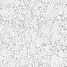 Patterned Polystyrene Panels PS for Shower Door / Cabinet, Partition, & Prismati (Patterned Polystyrene Panels PS for Shower Door / Cabinet, Partition, & Prismati)