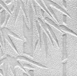 Polystyrol Patterned Pannel PS für Duschtür & Partition (Polystyrol Patterned Pannel PS für Duschtür & Partition)