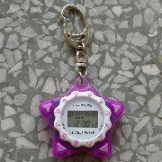 Horoscope Key-Chain