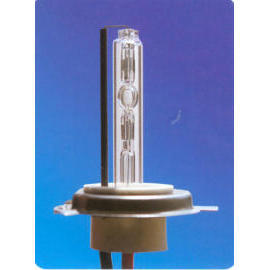Xenon HID Lamp (Xenon HID Lamp)