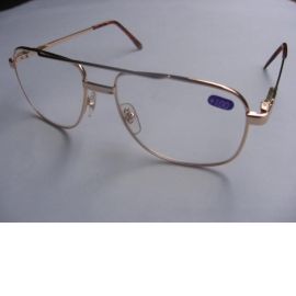 READING GLASSES (LUNETTES DE LECTURE)