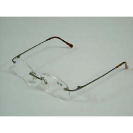 READING GLASSES (READING GLASSES)