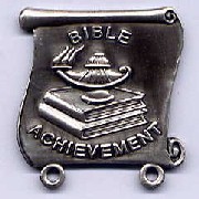 Metal Pin