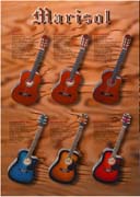 Acoustic Guitars (Guitares acoustiques)