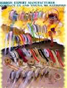 Ribbon (Ruban)