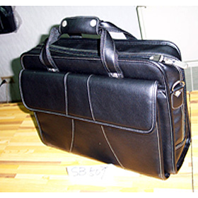 COMPUTER BAG (Computer Bag)