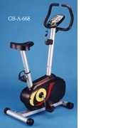 GB-A-668-Heimtrainer (GB-A-668-Heimtrainer)