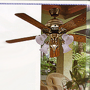 Ceiling Fan (Ventilateur de plafond)