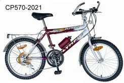 20`` 21 SPEED MTB (20``21 SPEED MTB)