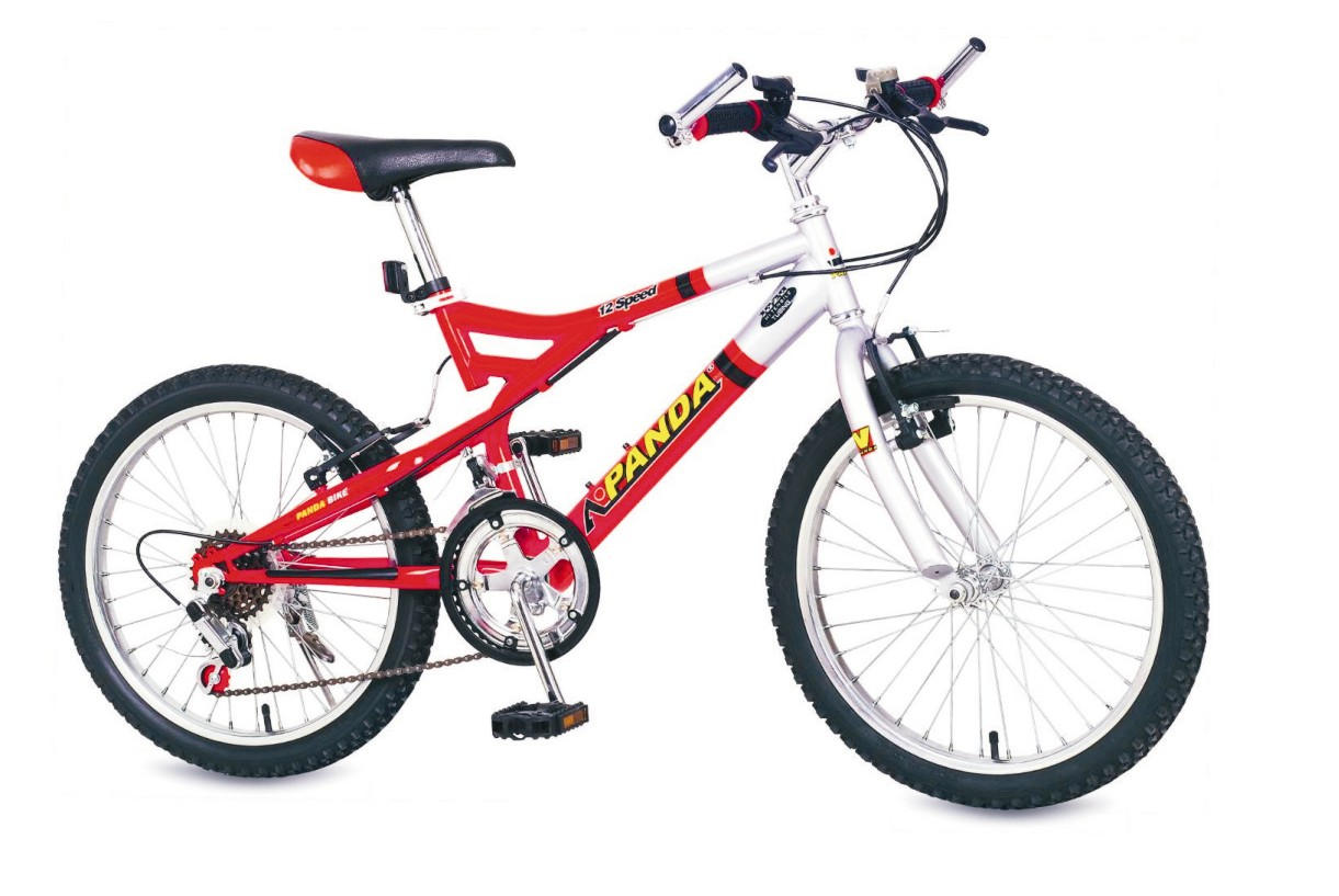 20`` 12-SPEED MTB (20``12 vitesses VTT)