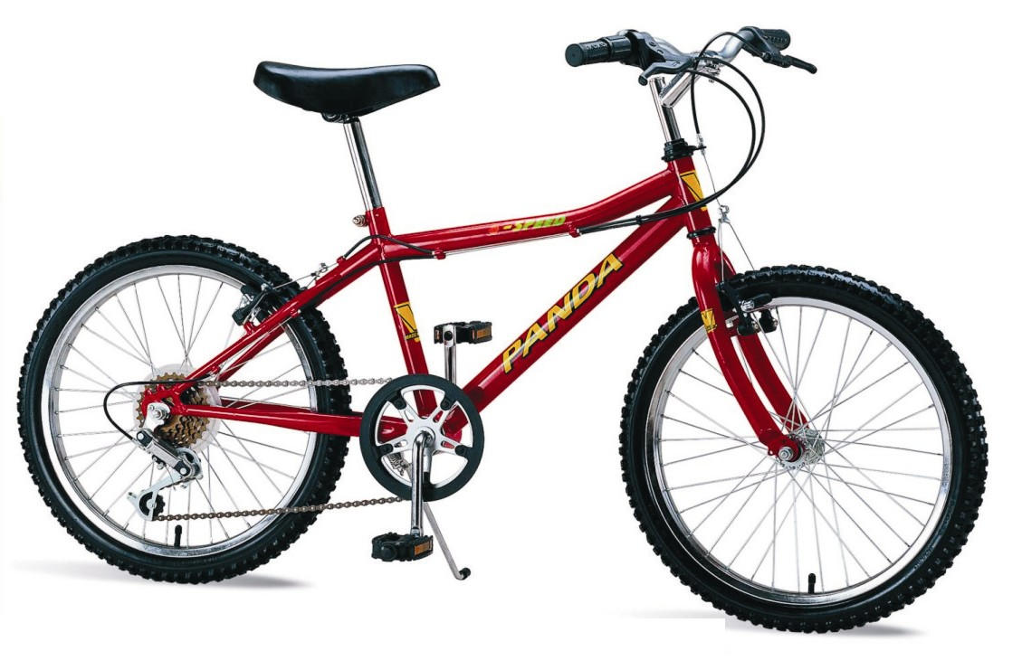 20``6-SPEED VALENCIA MTB (20``6-SPEED VALENCIA MTB)