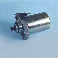 Starter Motor (Dèmarreur)