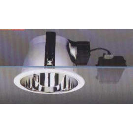 SPOT LIGHT (Spot Light)