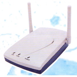 WIRELESS ACCESS POINT