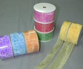 Everyday Ribbon (Everyday Ruban)