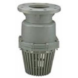 PVC Foot Valve-Flanged End Type