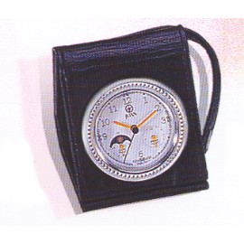 DUAL TIME ZONE TRAVEL CLOCK WITH ALARM (DUAL TIME ZONE TRAVEL CLOCK WITH ALARM)