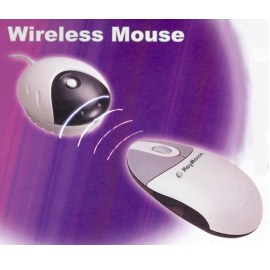 Wireless Mouse (Wireless Mouse)