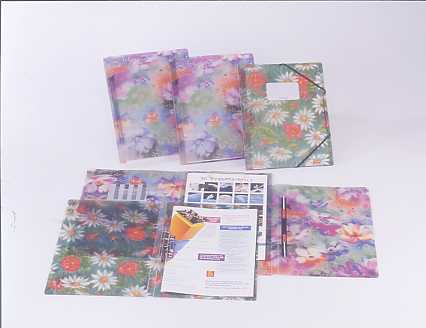 SPRING CLIP FILE,A4 OFFSET PRINTING (SPRING CLIP FILE,A4 OFFSET PRINTING)