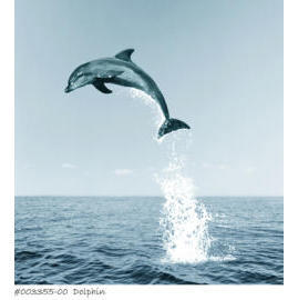 Polyester Shower Curtain - Dolphin (Polyester Shower Curtain - Dolphin)