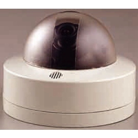 COLOR ExView DOME CAMERA (COLOR ExView DOME CAMERA)