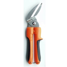 Decoration purpose scissors (Décoration fins ciseaux)