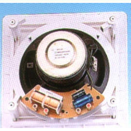 8`` Square type ceiling sub woofer (8`` Square type ceiling sub woofer)