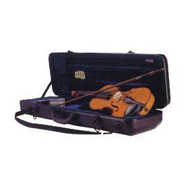 Auto dehumidifying case for violin (Auto Entfeuchtung Fall für Violine)