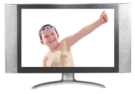 32`` LCD TV