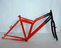 FRAME/FORK (FRAME/FORK)
