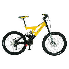 DOWNHILL (DESCENTE)