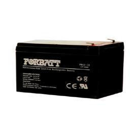 FORBATT NP Battery (FORBATT batterie NP)